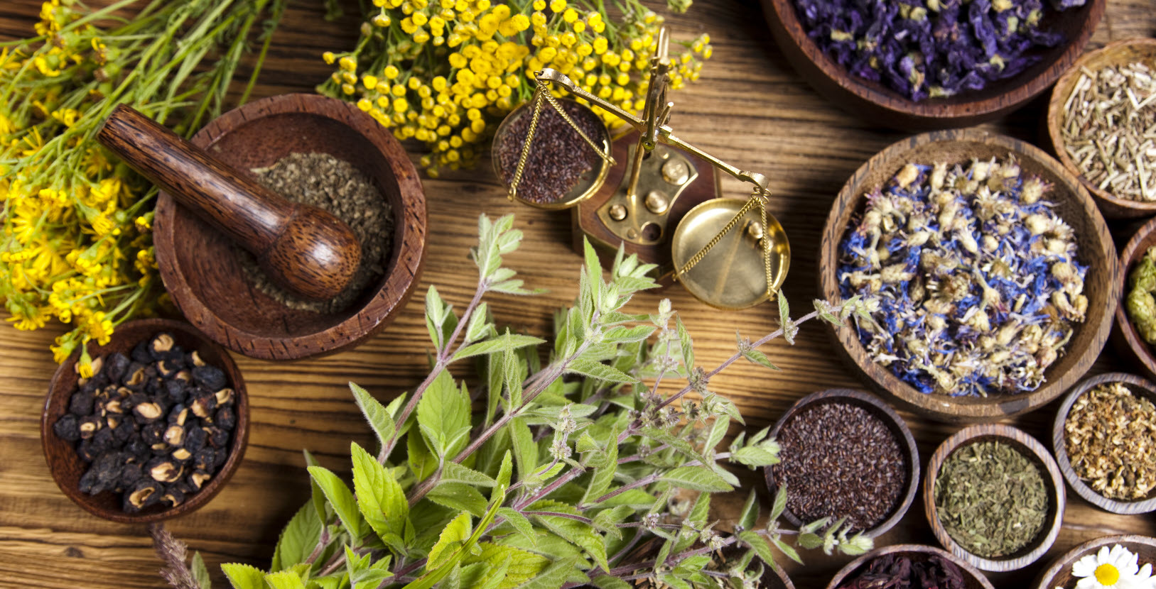 The Use of Spices in Traditional Indigenous Medicine